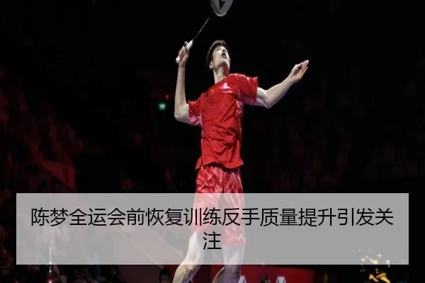陈梦全运会前恢复训练反手质量提升引发关注 - yibeisports